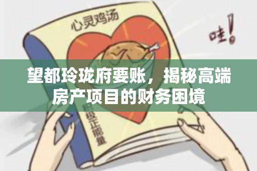 望都玲珑府要账，揭秘高端房产项目的财务困境