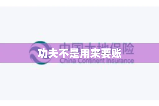 功夫不是用来要账