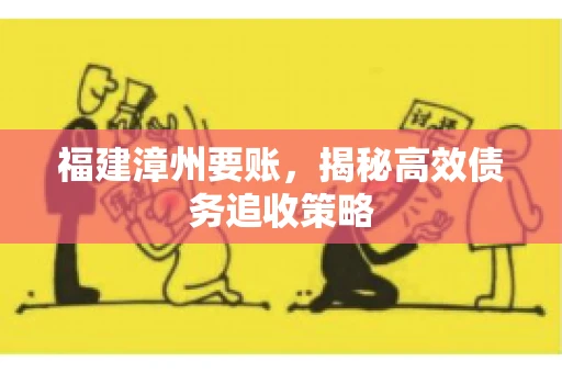 福建漳州要账，揭秘高效债务追收策略