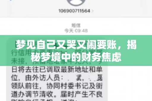 梦见自己又哭又闹要账，揭秘梦境中的财务焦虑