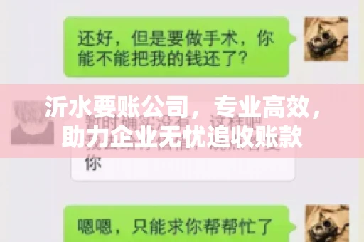沂水要账公司，专业高效，助力企业无忧追收账款