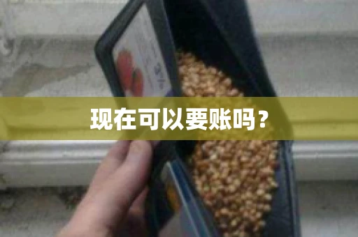 现在可以要账吗？