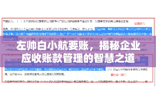 左帅白小航要账，揭秘企业应收账款管理的智慧之道