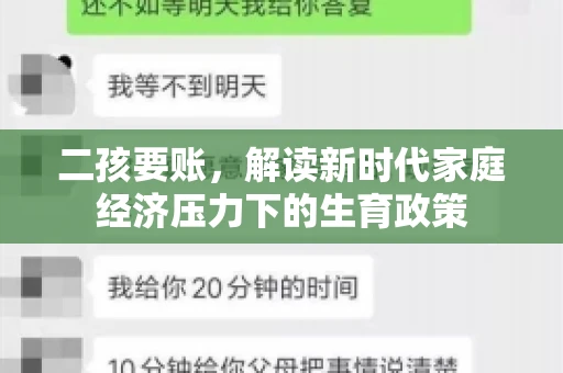 二孩要账，解读新时代家庭经济压力下的生育政策