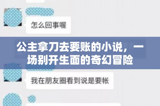 公主拿刀去要账的小说，一场别开生面的奇幻冒险