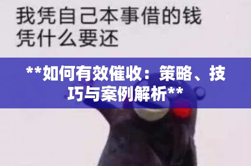 **如何有效催收：策略、技巧与案例解析**