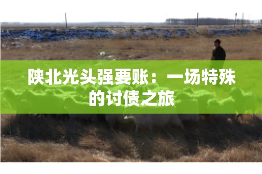 陕北光头强要账：一场特殊的讨债之旅