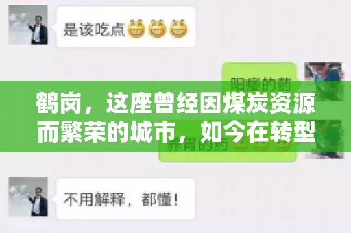 鹤岗，这座曾经因煤炭资源而繁荣的城市，如今在转型中寻求新的发展路径。在这座城市中，有一家名为“鹤岗要账公司”的企业，它以专业的服务，在众多企业中脱颖而出。今天，就让我们一起来了解一下这家公司，看看它是如何在这个充满挑战的市场中立足的。