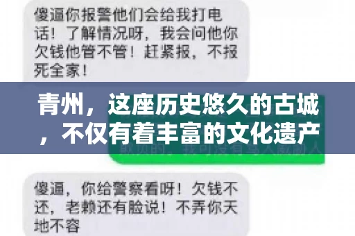青州，这座历史悠久的古城，不仅有着丰富的文化遗产，也是商业活动频繁的地方。对于许多企业来说，应收账款的管理是日常运营中不可或缺的一环。那么，青州那里有要账的公司呢？今天，我们就来聊聊这个话题。