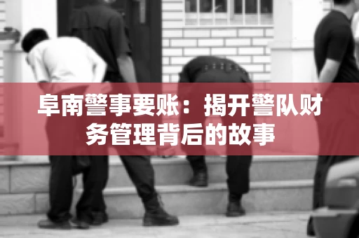阜南警事要账：揭开警队财务管理背后的故事