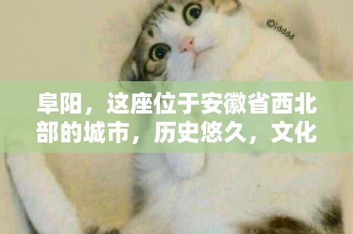 阜阳，这座位于安徽省西北部的城市，历史悠久，文化底蕴深厚。近年来，随着经济的发展，商业活动日益频繁，随之而来的是应收账款的管理问题。那么，阜阳有木有要账公司呢？今天，我们就来聊聊这个话题。