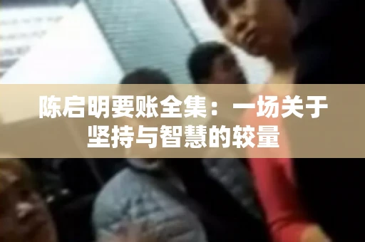 陈启明要账全集：一场关于坚持与智慧的较量