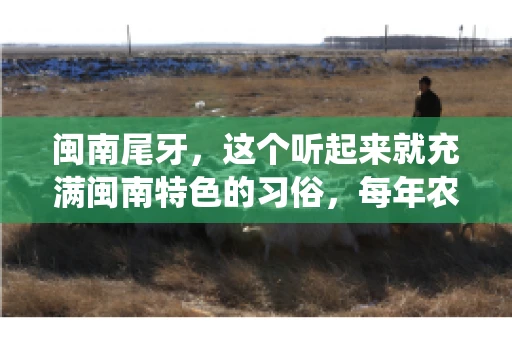 闽南尾牙，这个听起来就充满闽南特色的习俗，每年农历年底都会上演。那么，问题来了，闽南尾牙能要账吗？这个问题，得从闽南尾牙的传统意义说起。