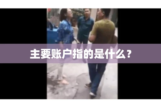 主要账户指的是什么？