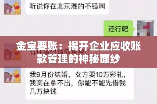 金宝要账：揭开企业应收账款管理的神秘面纱