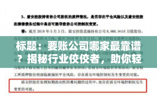 标题：要账公司哪家最靠谱？揭秘行业佼佼者，助你轻松追回欠款