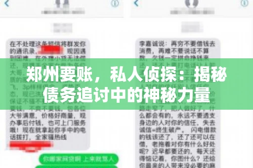 郑州要账，私人侦探：揭秘债务追讨中的神秘力量