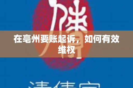 在亳州要账起诉，如何有效维权
