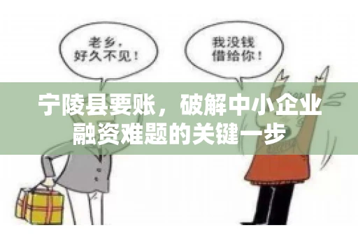 宁陵县要账，破解中小企业融资难题的关键一步
